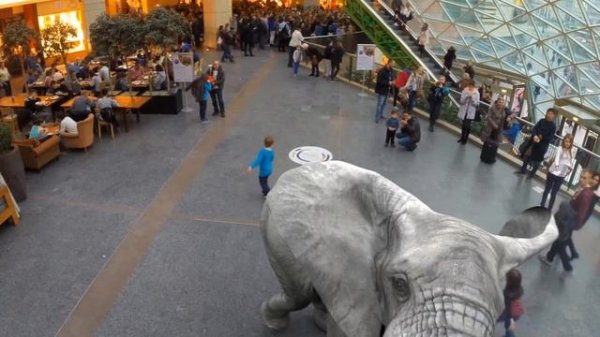 Augmented Reality Zoo