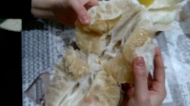 Поме́ло 🍊 или помпе́льмус, или шеддок — вид растений из рода Цитрус