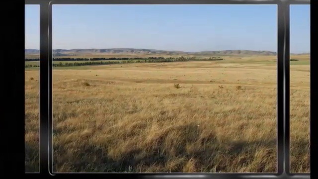 Песня -любимому городу Шымкенту смотреть онлайн