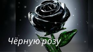 Чёрную розу | Песни нашего двора