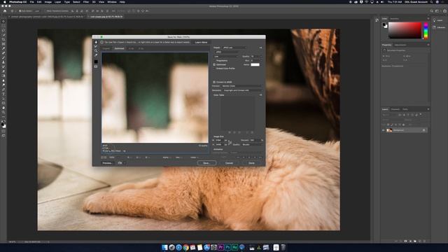 Resizing an Image for the Web in Photoshop смотреть онлайн