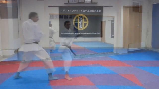 kata taikyoku shodan в каратэдо ситорю с gedan barai смотреть онлайн