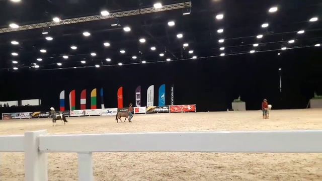 Иппосфера 2019 / Ковбои / ЦКСК "Александрова дача" / Трюковые пони и лошади / Конное шоу смотреть онлайн