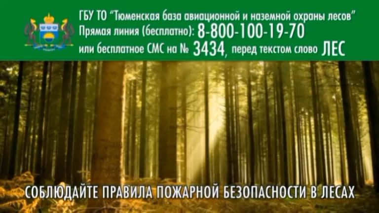 ПОЖАРНЫЙ РОЛИК 2018 смотреть онлайн