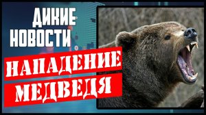 Новости охоты и рыбалки