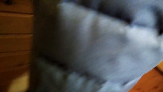 База отдыха Юрты смотреть онлайн