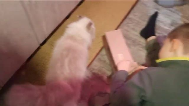 Вторник- суетливый день. Они хотели, чтоб я не успел никуда, а я всё равно успел) смотреть онлайн