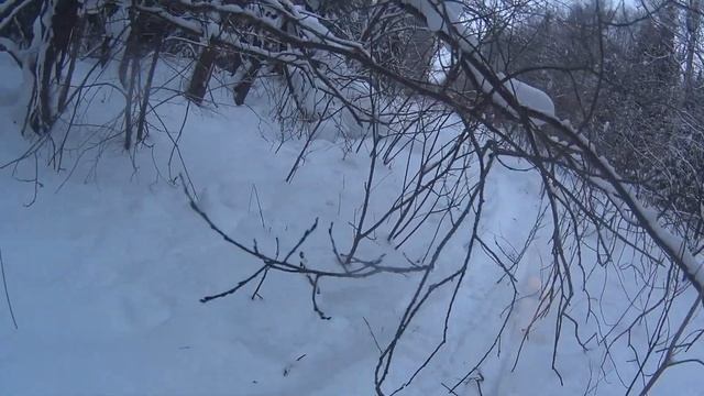 Самодельный снегоход "Йети" смотреть онлайн