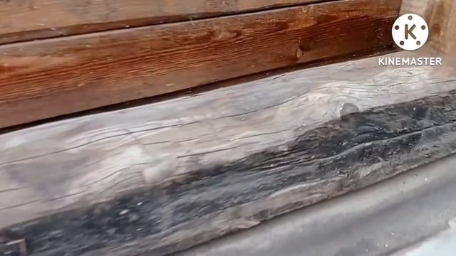 Продолжаю делать Студию Live! Установил окна и дверь! смотреть онлайн