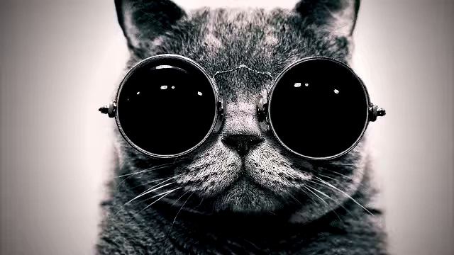 Submotion Culture Club - Fractals Музыка для YouTube / Без авторских прав / АП смотреть онлайн