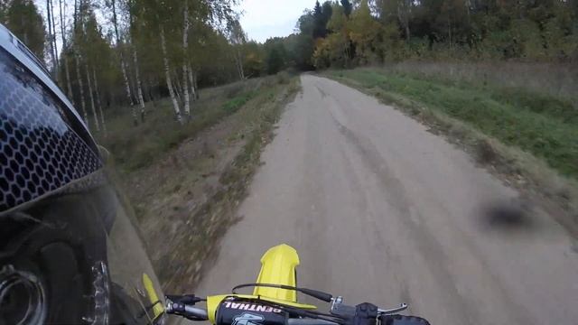 Suzuki RMZ 450 in woods смотреть онлайн