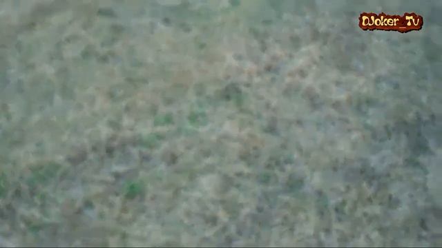 Коп монет Ака Сигнум МФТ 7272 М