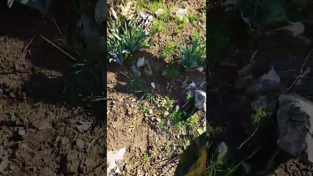 15 августа 2022 г. смотреть онлайн