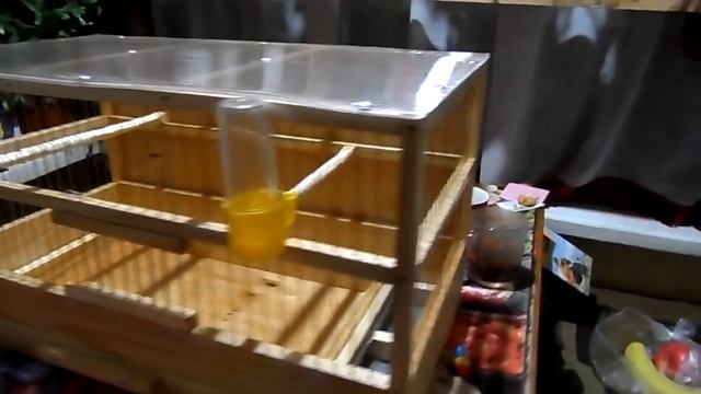 Клетка для канареек ручной работы. смотреть онлайн