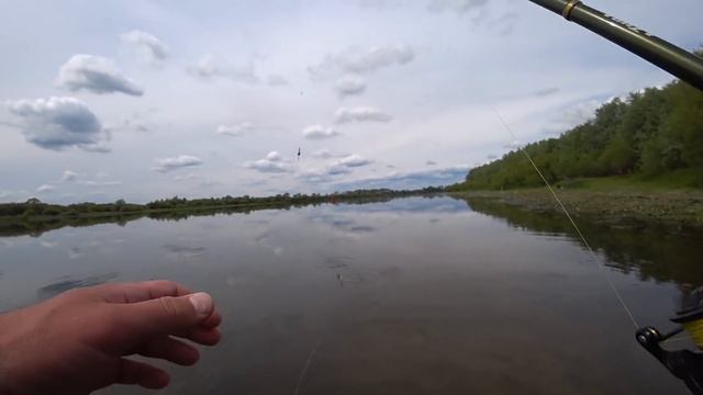 Мелкий судак на отводной поводок! Рыбалка на Оке! смотреть онлайн