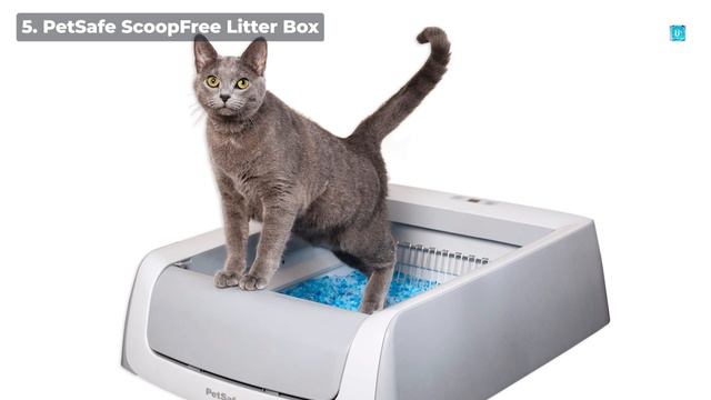 Automatic Self-Cleaning Cat Litter Boxes – 10 Best In 2024