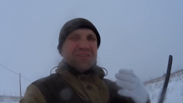 Охота на зайцев - «Поле чудес» смотреть онлайн