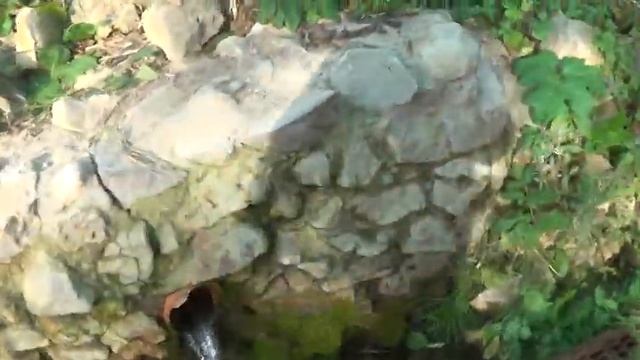 M2U00596 - 11 октября ср 2023 г Родник Калуга Косарево смотреть онлайн