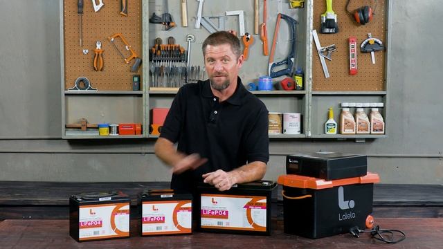 Lalela Lithium LiFePO4 Battery. Drop In Replacement for Lead Acid Batteries смотреть онлайн