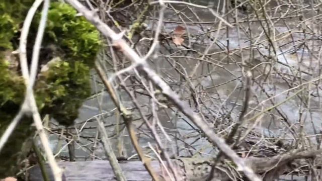 Беркубу (Бут-Казмаляр) смотреть онлайн