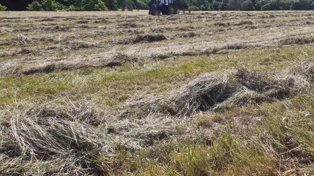 ЛТЗ-55 и МТЗ-80 согребают сено а МТЗ-82 прессует рулоны. смотреть онлайн