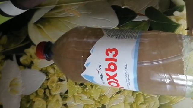Яйца артемии вывожу смотреть онлайн