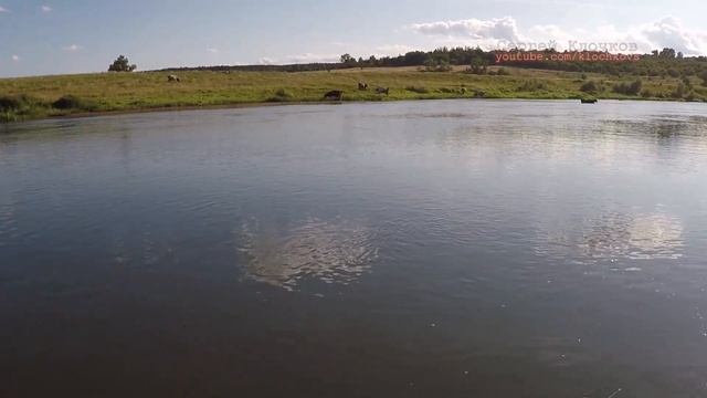 Щука на воблер Pontoon21 - CrackJack рыбалка август