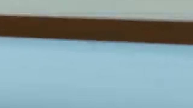 The Sims 3 - Попугай на воле) ч.2 смотреть онлайн