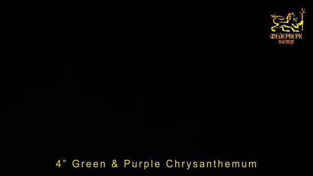 4 Green & Purple Chrysanthemum смотреть онлайн