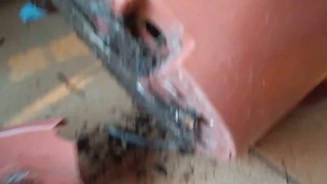 ADA BADA a fíkus смотреть онлайн