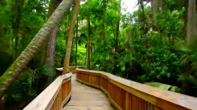 Америка с Наташей - парк в дикой Флориде Blue Springs Florida 03.06.2014 смотреть онлайн