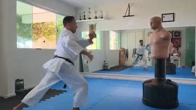 Os Golpes Mais Impactantes Do Karate Shotokan - Hisa Geri