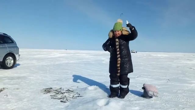 ЕДЕМ НА ЗИМНЮЮ РЫБАЛКУ. #ЭКСТРЕМАЛЬНАЯ ЕЗДА ПО ЛЬДУ2018 . ЛИСА-ПОПРОШАЙКА.