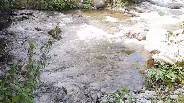 речка соётка/Хакасия/релакс/сон/relax, river, nature, №3 смотреть онлайн