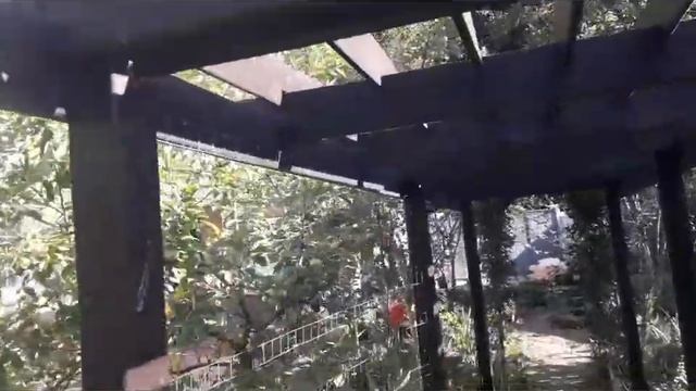 Пастройка бани бочки смотреть онлайн