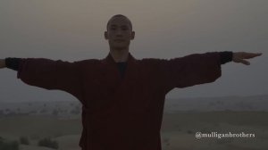 Who Is Master Shi Heng Yi? | By Mulligan Brothers