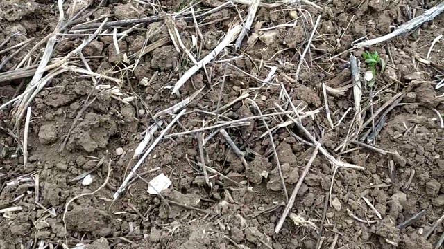 Первый посевы, часть 2. Хотим No-till. смотреть онлайн