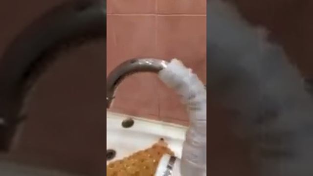 Водонагреватель проточный 3кВт смотреть онлайн