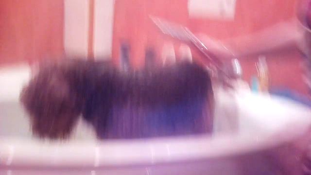 Собачка моется