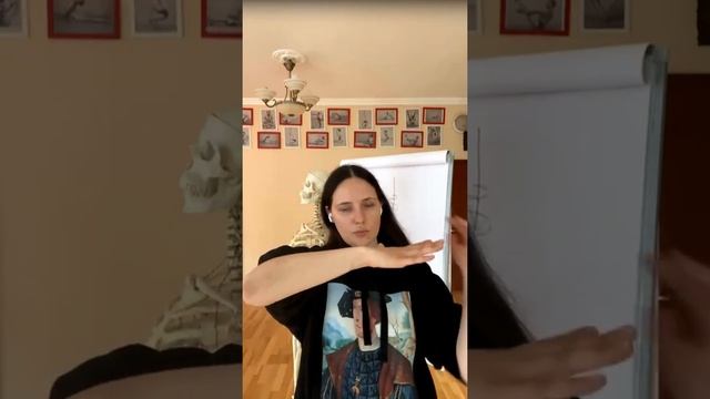 Разбор уттхита паршваконасаны смотреть онлайн