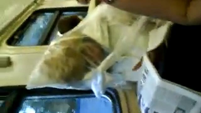 куклус клан среди нас или плащ невидим смотреть онлайн