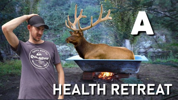 MEDICAL TOURISM WITH NATURAL REMEDIES | A deer antler bath