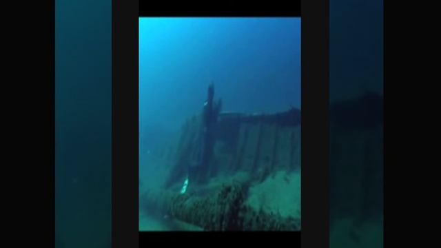 Stephan Mifsud free diving смотреть онлайн