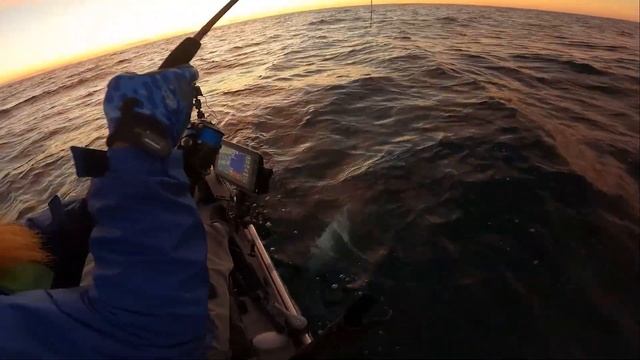 I Hooked A MONSTER FISH From My Kayak! смотреть онлайн