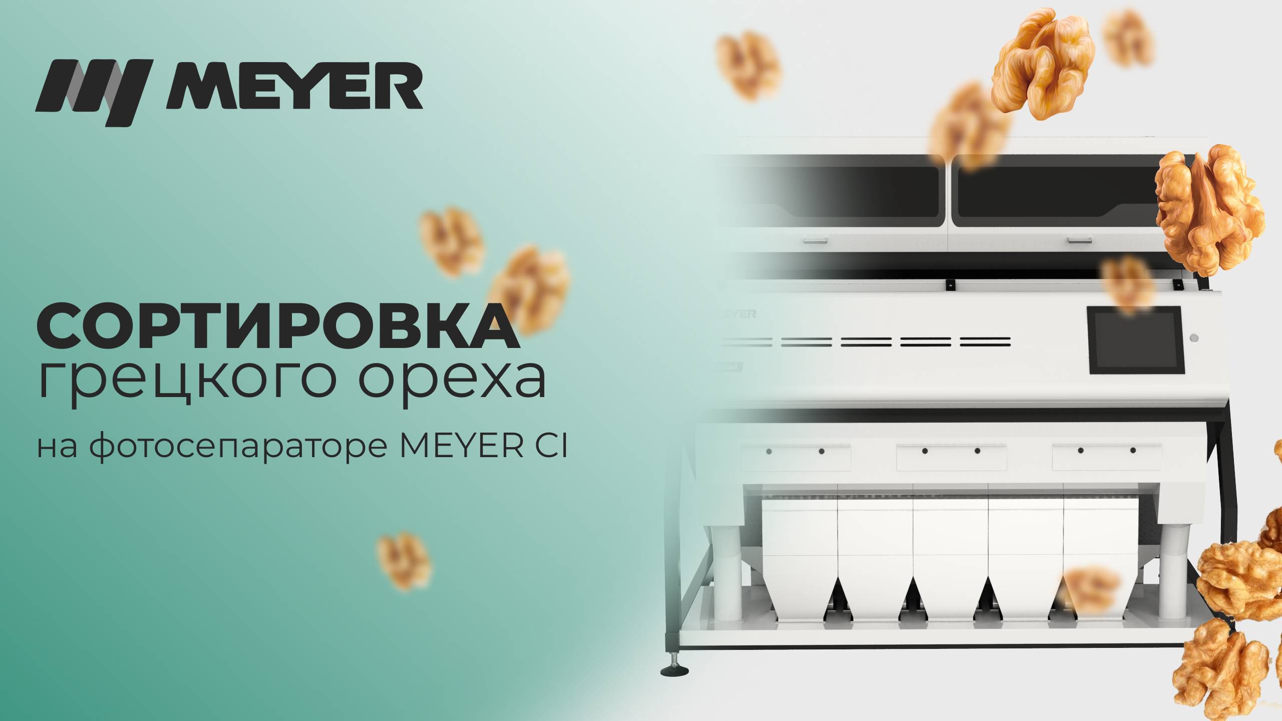 Сортировка и очистка грецкого ореха от скорлупы на фотосепараторе MEYER CI смотреть онлайн