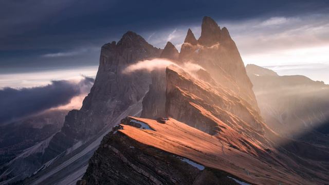 Thomas Ligotti -- Professor Nobody смотреть онлайн