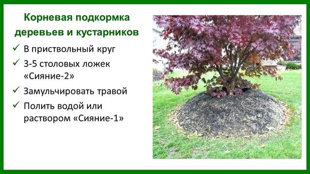 Микробиологическое удобрение "Сияние" (видеоинструкция короткая) смотреть онлайн