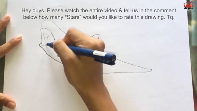 How to Draw a Great White Shark | Easy Drawing of a Shark Step by Step Outline смотреть онлайн