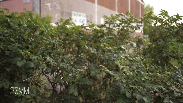 Обзор переходника Viltrox EF M2 II (ver.2) MFT - EF смотреть онлайн