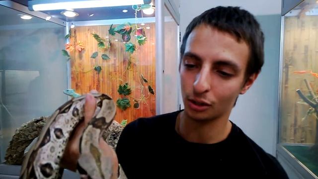 Главный герой конкурса "А вам слабо?" удавчик из сказочной страны Лимпопо!))) смотреть онлайн